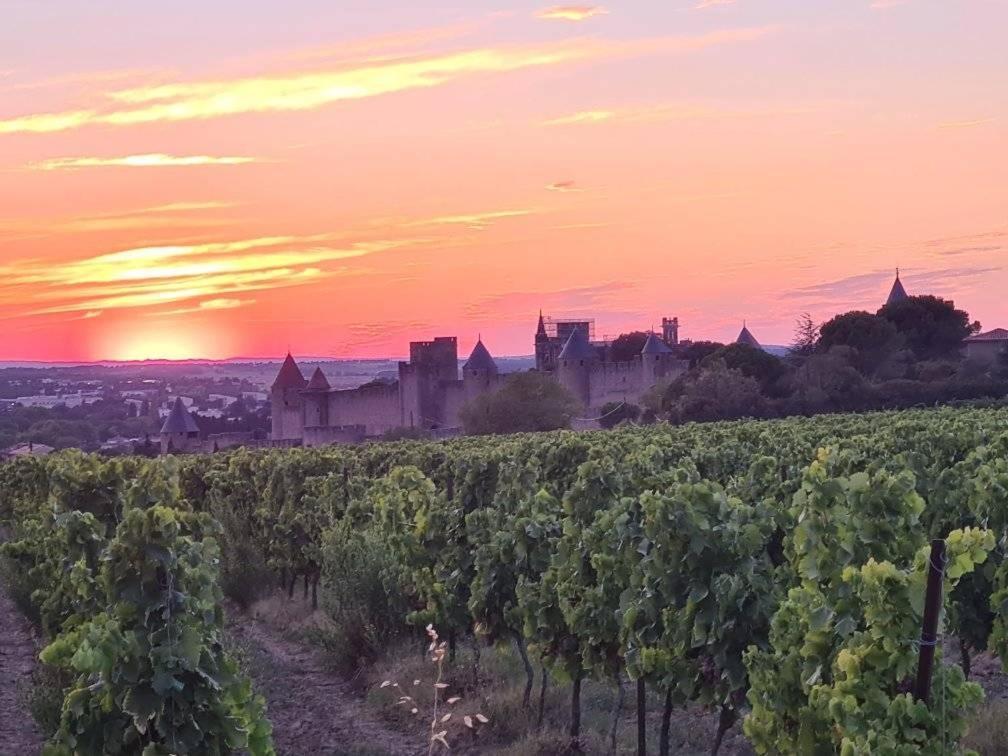 Meublé de tourisme 4 étoiles Logis Riquet proche de Carcassonne Villa Caux-et-Sauzens Esterno foto